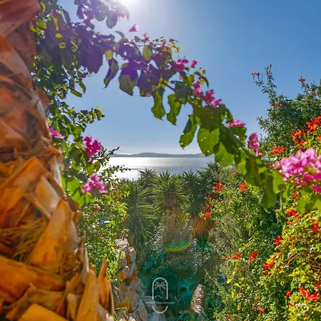 Somptueuse L'oasis By Hc Carqueiranne